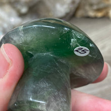 将图像加载到图库查看器中,Fluorite Mushroom #25