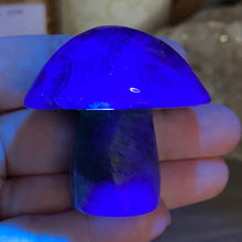 将图像加载到图库查看器中,Fluorite Mushroom #25