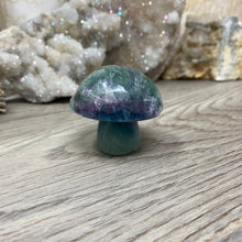 将图像加载到图库查看器中,Fluorite Mushroom #26