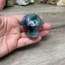 将图像加载到图库查看器中,Fluorite Mushroom #26