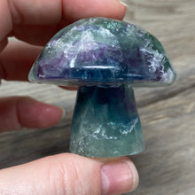 将图像加载到图库查看器中,Fluorite Mushroom #26