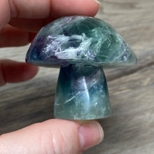 将图像加载到图库查看器中,Fluorite Mushroom #26