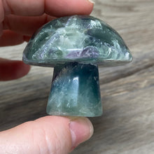 将图像加载到图库查看器中,Fluorite Mushroom #26