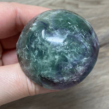 将图像加载到图库查看器中,Fluorite Mushroom #26