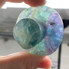 将图像加载到图库查看器中,Fluorite Mushroom #26