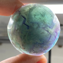 将图像加载到图库查看器中,Fluorite Mushroom #26