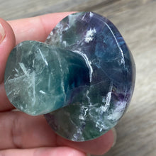 将图像加载到图库查看器中,Fluorite Mushroom #26