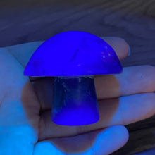 将图像加载到图库查看器中,Fluorite Mushroom #26