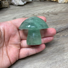 将图像加载到图库查看器中,Fluorite Mushroom #27