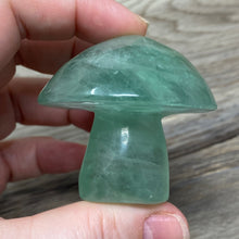 将图像加载到图库查看器中,Fluorite Mushroom #27