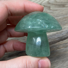将图像加载到图库查看器中,Fluorite Mushroom #27