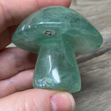 将图像加载到图库查看器中,Fluorite Mushroom #27