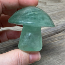 将图像加载到图库查看器中,Fluorite Mushroom #27
