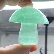 将图像加载到图库查看器中,Fluorite Mushroom #27