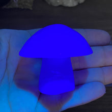 将图像加载到图库查看器中,Fluorite Mushroom #27