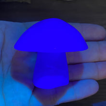 将图像加载到图库查看器中,Fluorite Mushroom #27