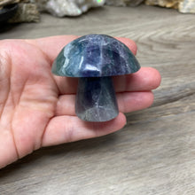 将图像加载到图库查看器中,Fluorite Mushroom #28