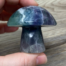 将图像加载到图库查看器中,Fluorite Mushroom #28