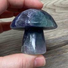 将图像加载到图库查看器中,Fluorite Mushroom #28