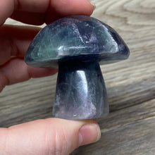 将图像加载到图库查看器中,Fluorite Mushroom #28