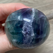 将图像加载到图库查看器中,Fluorite Mushroom #28