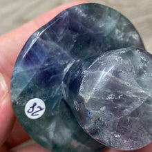 将图像加载到图库查看器中,Fluorite Mushroom #28