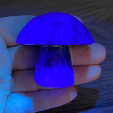 将图像加载到图库查看器中,Fluorite Mushroom #28