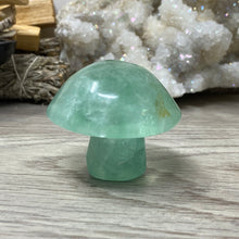 将图像加载到图库查看器中,Fluorite Mushroom #08