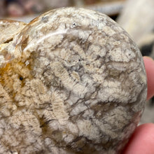 Chargez l'image dans la visionneuse de la galerie, Plume Agate Heart #01