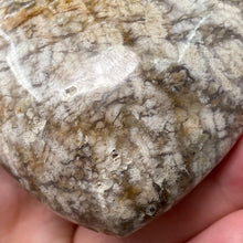 Chargez l'image dans la visionneuse de la galerie, Plume Agate Heart #01