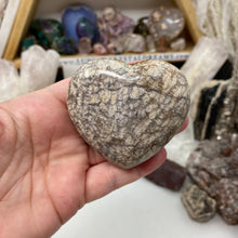 Chargez l'image dans la visionneuse de la galerie, Plume Agate Heart #01