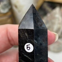 Load image into Gallery viewer, Arfvedsonite Point #05