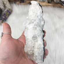 将图像加载到图库查看器中,<transcy>玉髓 #2 上的鱼眼石和辉石</transcy>