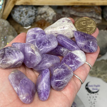 Bild in Galerie-Viewer laden, Chevron Amethyst Medium Tumbles