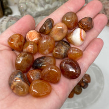 Bild in Galerie-Viewer laden, Carnelian Snakeskin Tumbles
