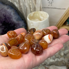 Bild in Galerie-Viewer laden, Carnelian Snakeskin Tumbles