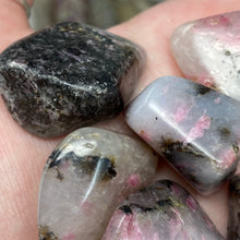 Load image into Gallery viewer, Rhodonite Tumbles