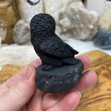 Bild in Galerie-Viewer laden, Shungite 2.5" Owls