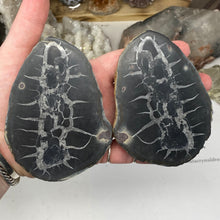 Bild in Galerie-Viewer laden, Septarian Nodule Pair #10