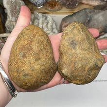 Bild in Galerie-Viewer laden, Septarian Nodule Pair #10