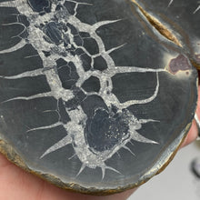 Bild in Galerie-Viewer laden, Septarian Nodule Pair #10