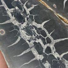 Bild in Galerie-Viewer laden, Septarian Nodule Pair #10