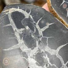 Bild in Galerie-Viewer laden, Septarian Nodule Pair #10