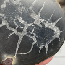 Bild in Galerie-Viewer laden, Septarian Nodule Pair #10