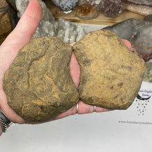 Bild in Galerie-Viewer laden, Septarian Nodule Pair #12