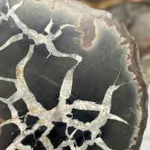 Bild in Galerie-Viewer laden, Septarian Nodule Pair #12