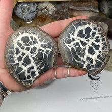 Bild in Galerie-Viewer laden, Septarian Nodule Pair #13