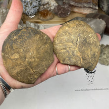 Bild in Galerie-Viewer laden, Septarian Nodule Pair #13