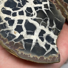 Bild in Galerie-Viewer laden, Septarian Nodule Pair #13