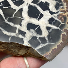Bild in Galerie-Viewer laden, Septarian Nodule Pair #13